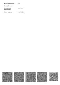 lisn 2025 page 0040